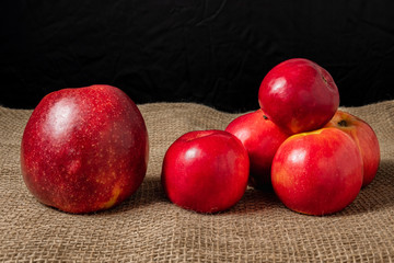 Red apples lie on a burlap covered table.