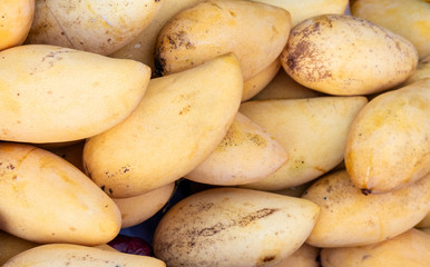 mango yellow close up