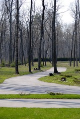 path in the park