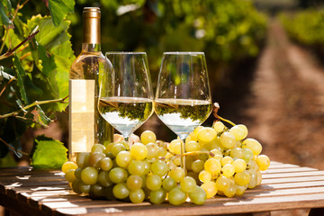 Fototapeta na wymiar glass of White wine ripe grapes and bread on table in vineyard