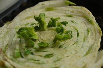 Beijing cabbage growing on the window. Green young chinese cabbage in the ground. home cultivation. Regrowing food at home. Home gardening. 