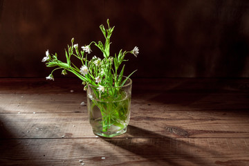 minimalistic still life with wild flowers