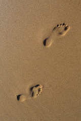 Empreintes de pied dans le sable