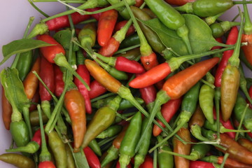 red hot chili peppers