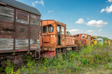 Fototapeta na wymiar Old abandoned train overgrown by vegetation