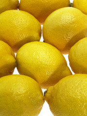 CITRON JAUNE