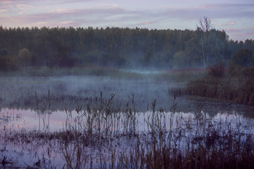 fog over the lake