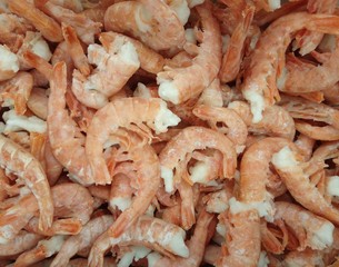  delicious and fresh prawns lie on the table