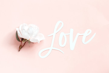 Cream rose and text LOVE on a light pink background