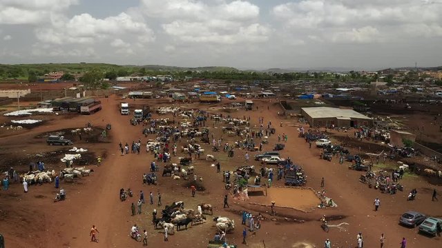 Africa Mali Village and Cattle Market Aerial View 6