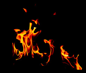 Fototapeta premium Flame of fire on a black background