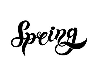 Fototapeta na wymiar Spring. Hand drawn lettering. Vector illustration. Best for spring design