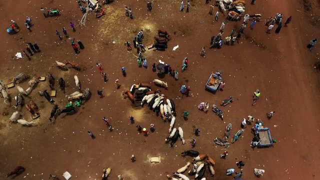 Africa Mali Village and Cattle Market Aerial View 5