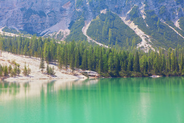 Mountain lake with coniferous forest in the spring 