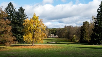 Sychrov Castle park in Czech republic in autumn colors
