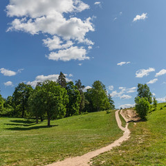 Fototapeta na wymiar narrow dirt road leading to a tree-covered hill against a blue sky with white clouds