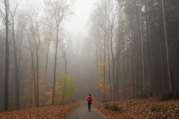 Hiking in the autumn region of the Bohemian Paradise