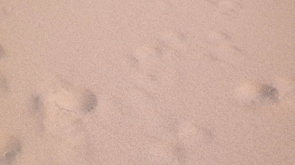 Shoe print on the sand