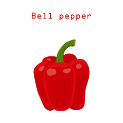 Red bell pepper - ingredient for vegetarian nutrition. Isolate on a white background. Vector illustration.