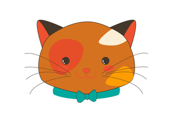 Cute Callico Kitten Face with Blue Ribbon