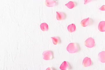 Top view of pink rose petals on white background.Valentine's day concept.