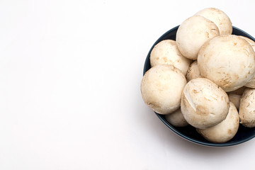 fresh champignons in a plate on a white isolated background with free space for writing