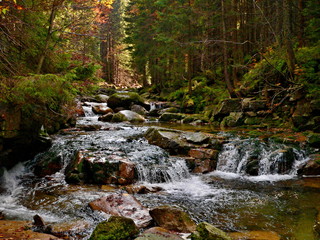 Obraz premium Czech republic-river Elbe