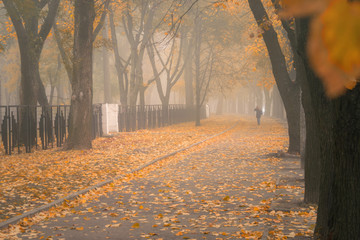 A long avenue in the autumn park with many yellow leaves. Morning fog fell on a city street. A lone passerby is walking along a deserted sidewalk in a fog. Beautiful autumn concept
