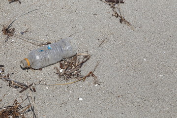 浜辺のプラスチックごみ