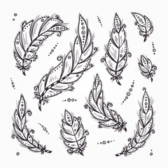 Ethnic feathers. Feather Vector Set. Hand Drawn Doodle Bird feathers. Tribal Feathers.