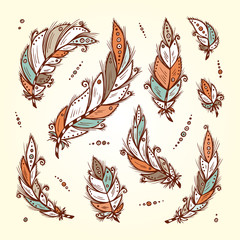 Vector Set of Ethnic feathers. Hand Drawn Tribal Feather. Decorative feathers. Vintage Bird colored Feathers