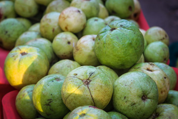 Testy guavas on the shop