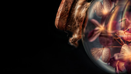 Dried flowers inside the glass bulb