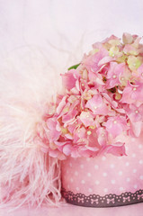 Pink hydrangea flowers