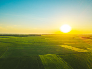 Drone shot of green agriculture fields in Lithuania