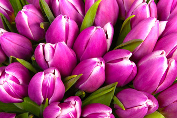 Obraz premium Bouquet Tulips spring flowers