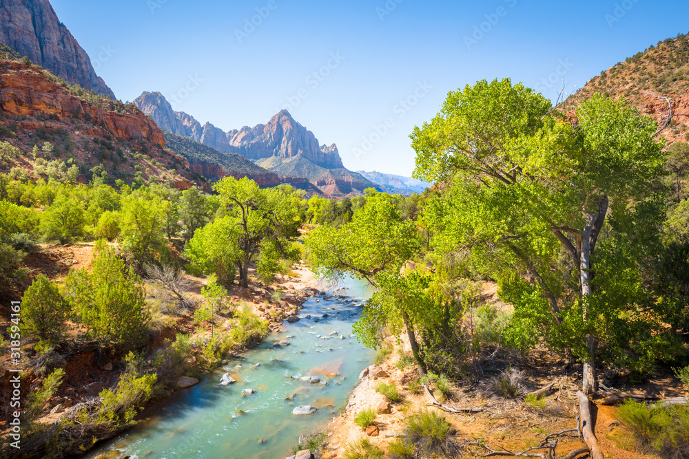 Poster zion national park scenery with the watchman peak and virgin river in summer, utah, usa