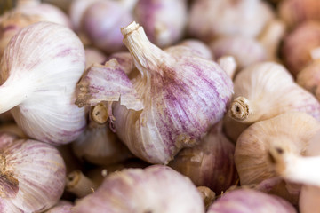 garlic