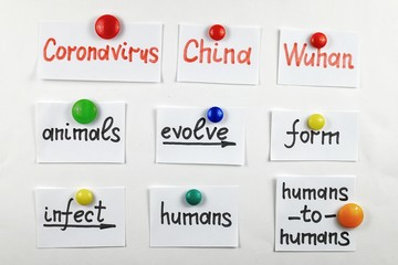 Pieces of paper with information about coronavirus on a whiteboard. Using visual aids