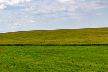 green field and blue sky