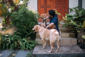 A man with dogs sits on the porch of a house in a tropical garden.