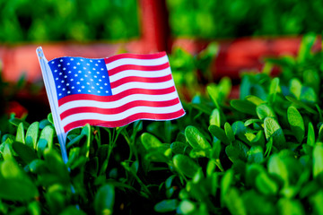 Concept of president day , American national flag 