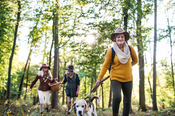 Senior women friends with dog on walk outdoors in forest.