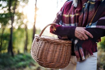 Midsection of senior woman walking outdoors in forest, holding basket.