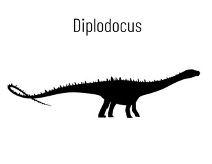 Diplodocus. Sauropodomorpha dinosaur. Monochrome vector illustration of silhouette of prehistoric creature diplodocus isolated on white background. Stencil. Huge fossil dinosaur.