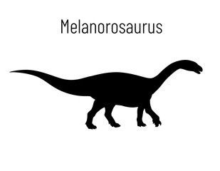 Melanorosaurus. Sauropodomorpha dinosaur. Monochrome vector illustration of silhouette of prehistoric creature melanorosaurus isolated on white background. Stencil. Huge fossil dinosaur.