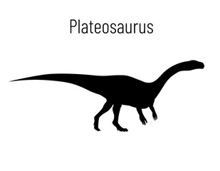 Plateosaurus. Sauropodomorpha dinosaur. Monochrome vector illustration of silhouette of prehistoric creature plateosaurus isolated on white background. Stencil. Huge fossil dinosaur.