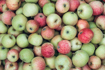 apples close up top view