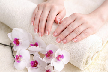 Nails with french manicure. Beautiful female hands with an orchid. Well-groomed skin and nails. Beauty and health concept.