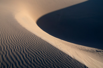 Drift sand dunes in the Gobi desert